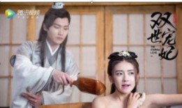 双世宠妃在线观看高清,穿越时空的甜蜜邂逅